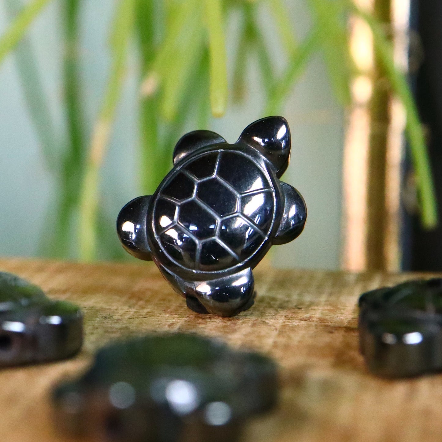 Schildpad Hematiet