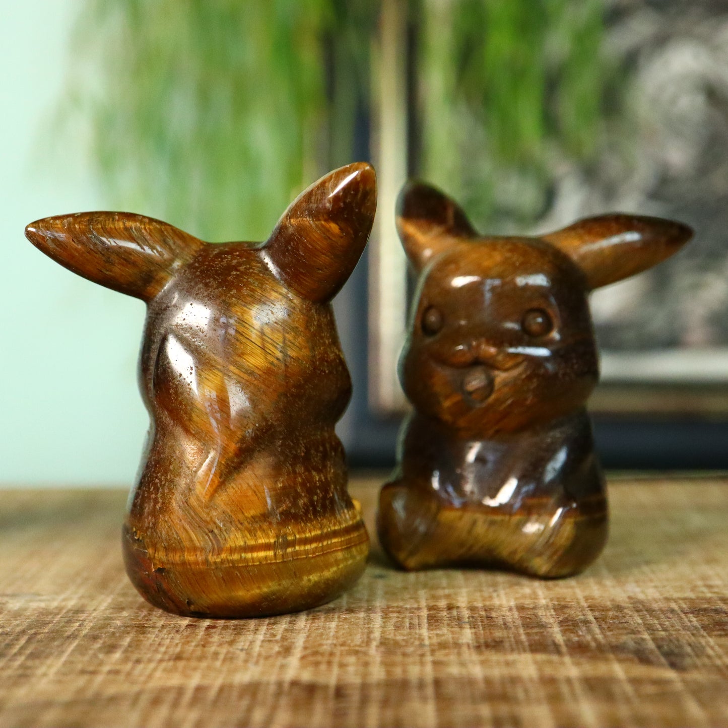Pikachu Tijgeroog