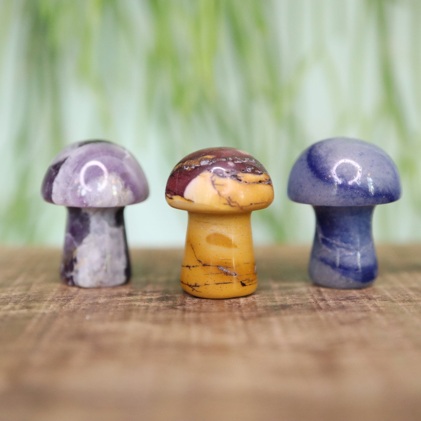 Loyalty Mushroom