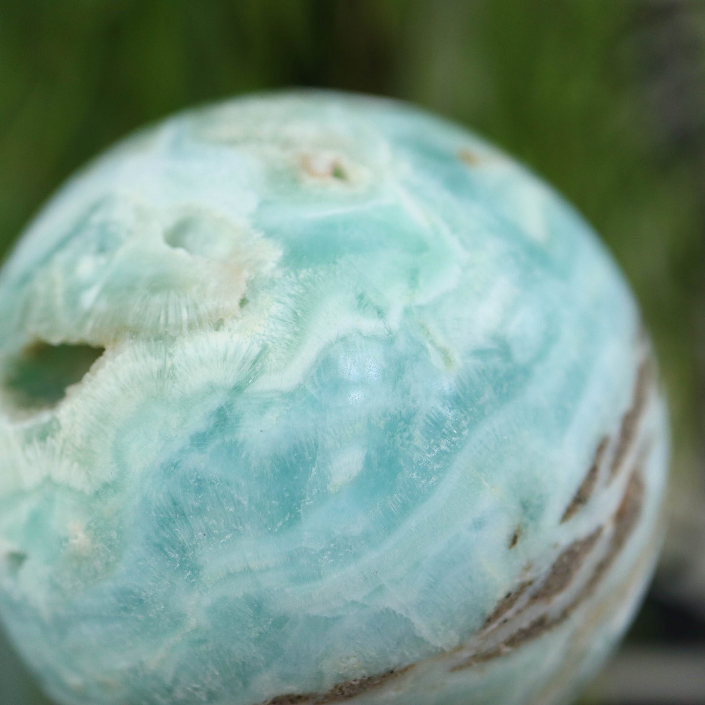 Caribbean Calciet