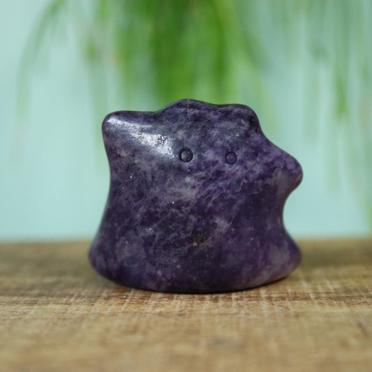Ditto