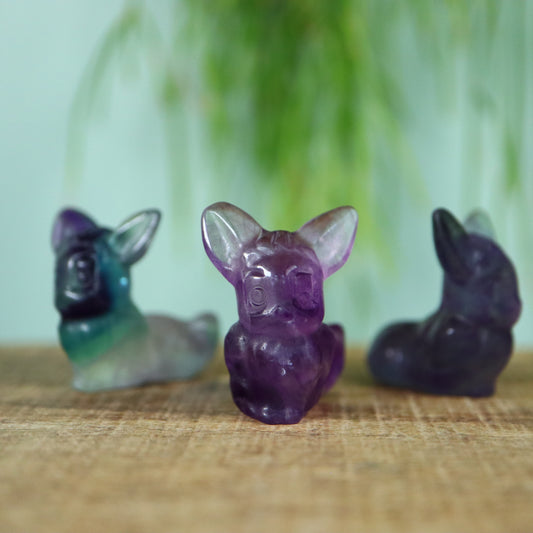 Eevee Fluoriet
