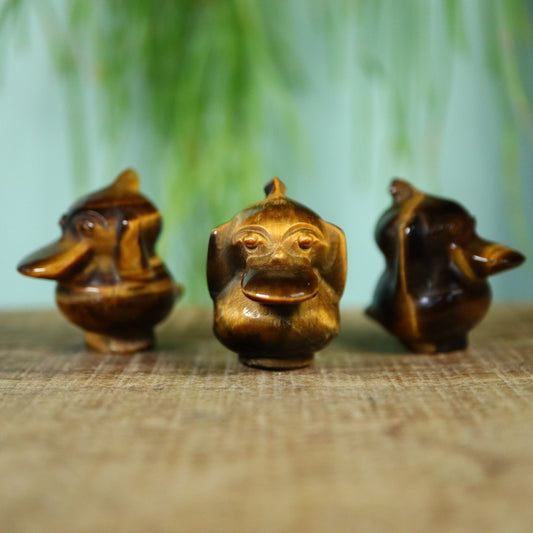 Psyduck Tijgeroog