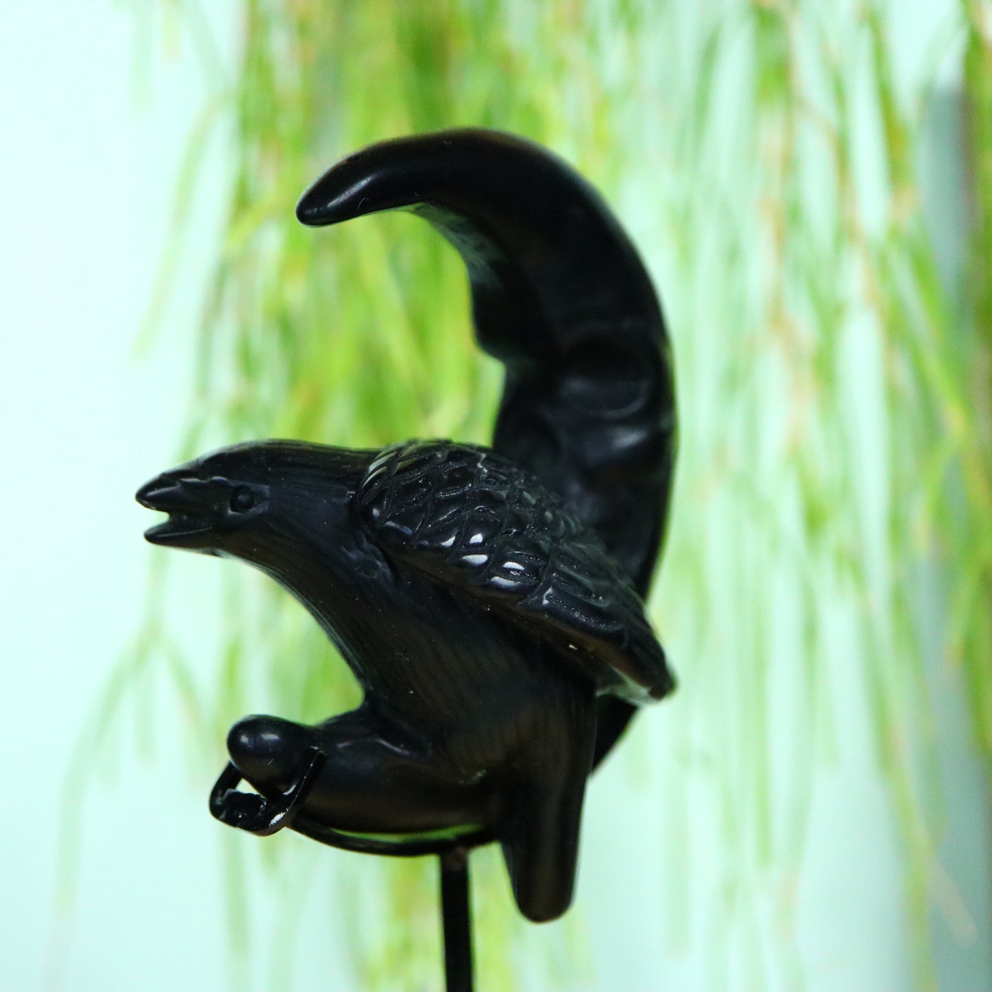 Raaf op Maan obsidiaan