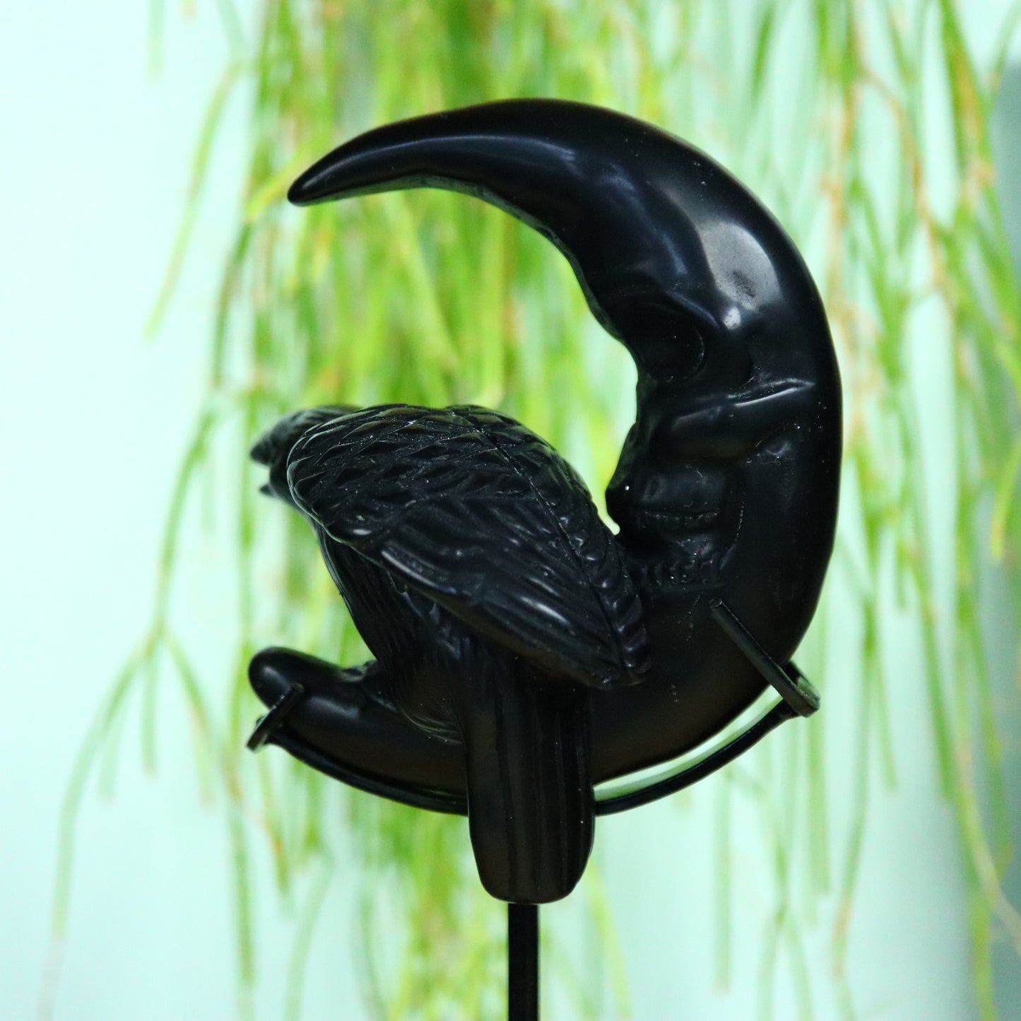 Raaf op Maan obsidiaan