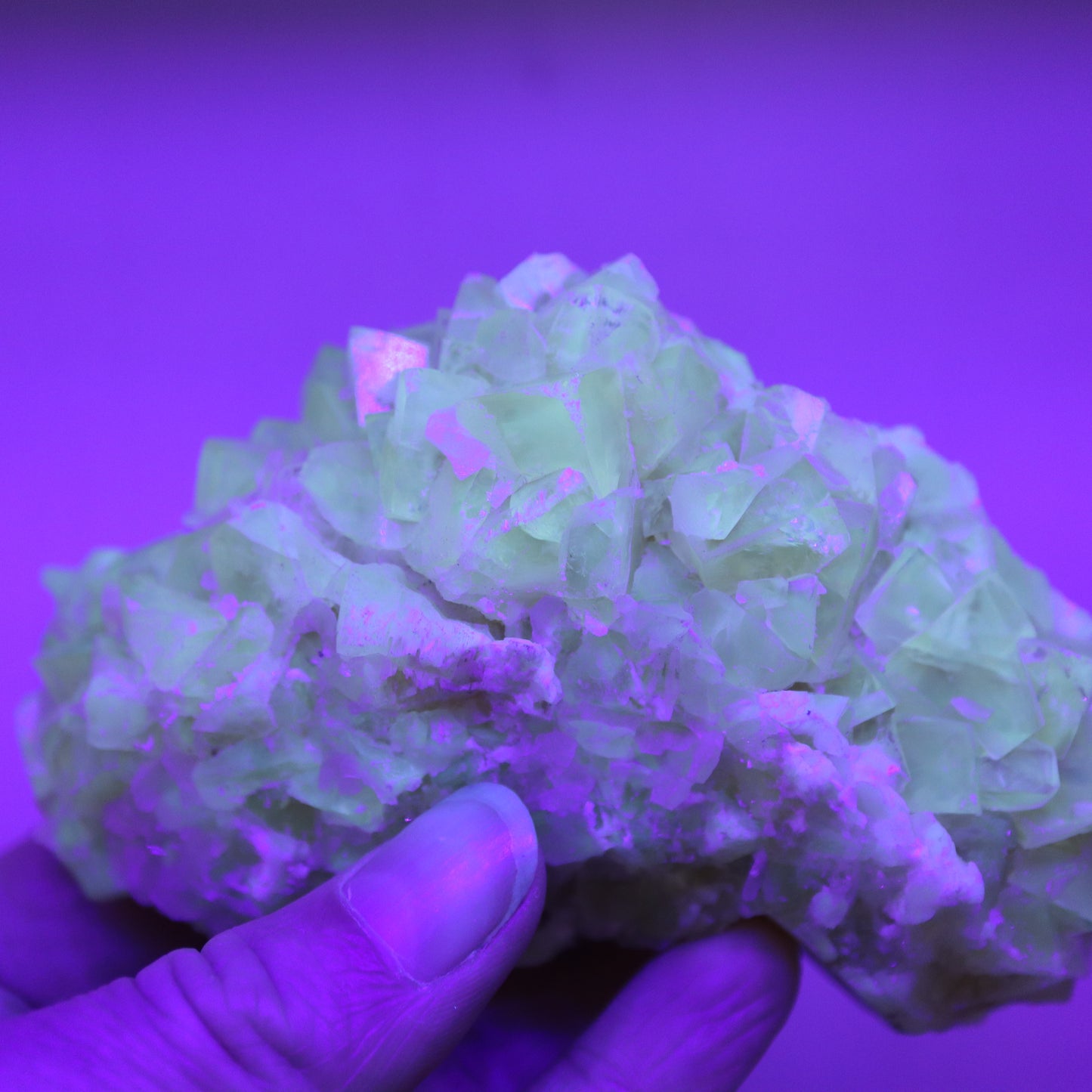 Honey calcite cluster UV