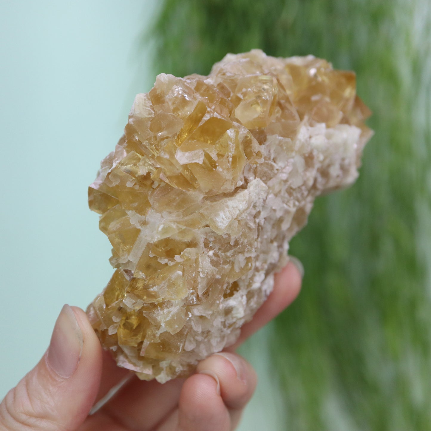 Honey calcite cluster UV