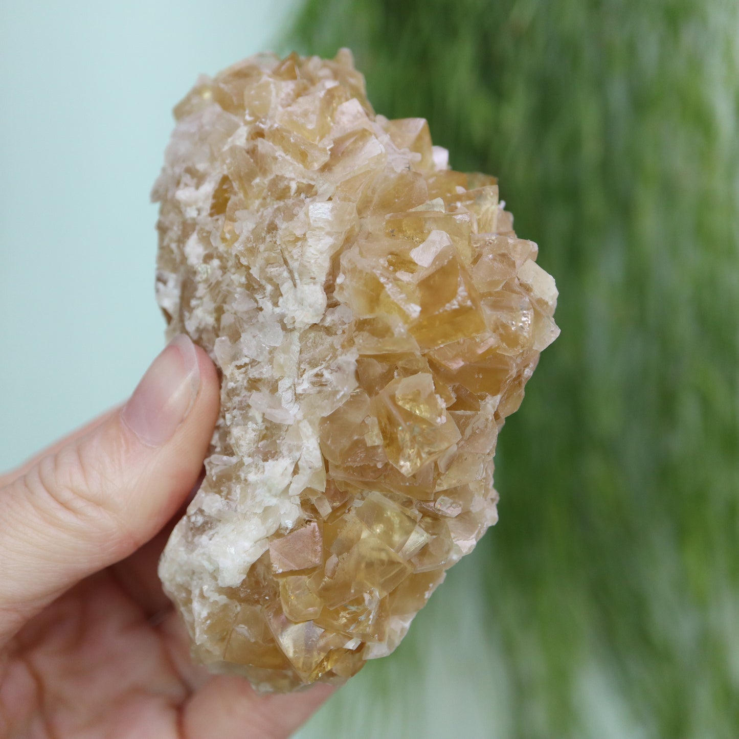 Honey calcite cluster UV