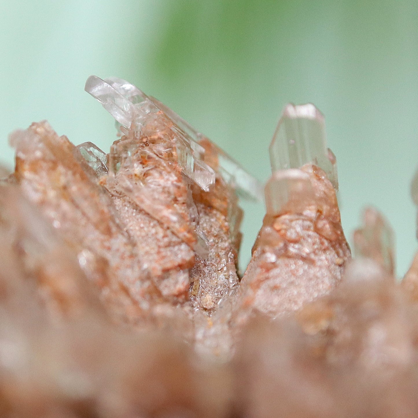 Gypsum selenite cluster