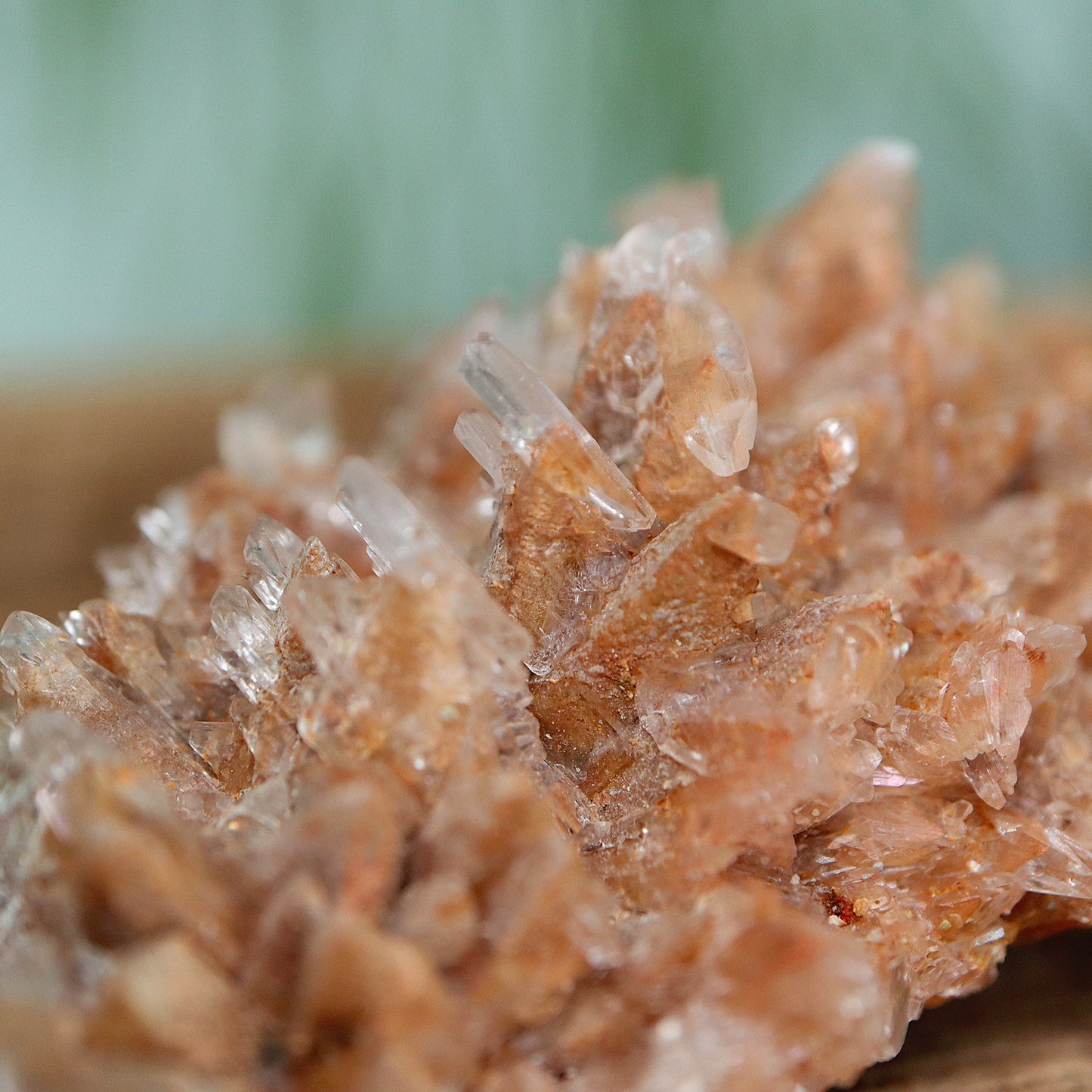 Gypsum selenite cluster